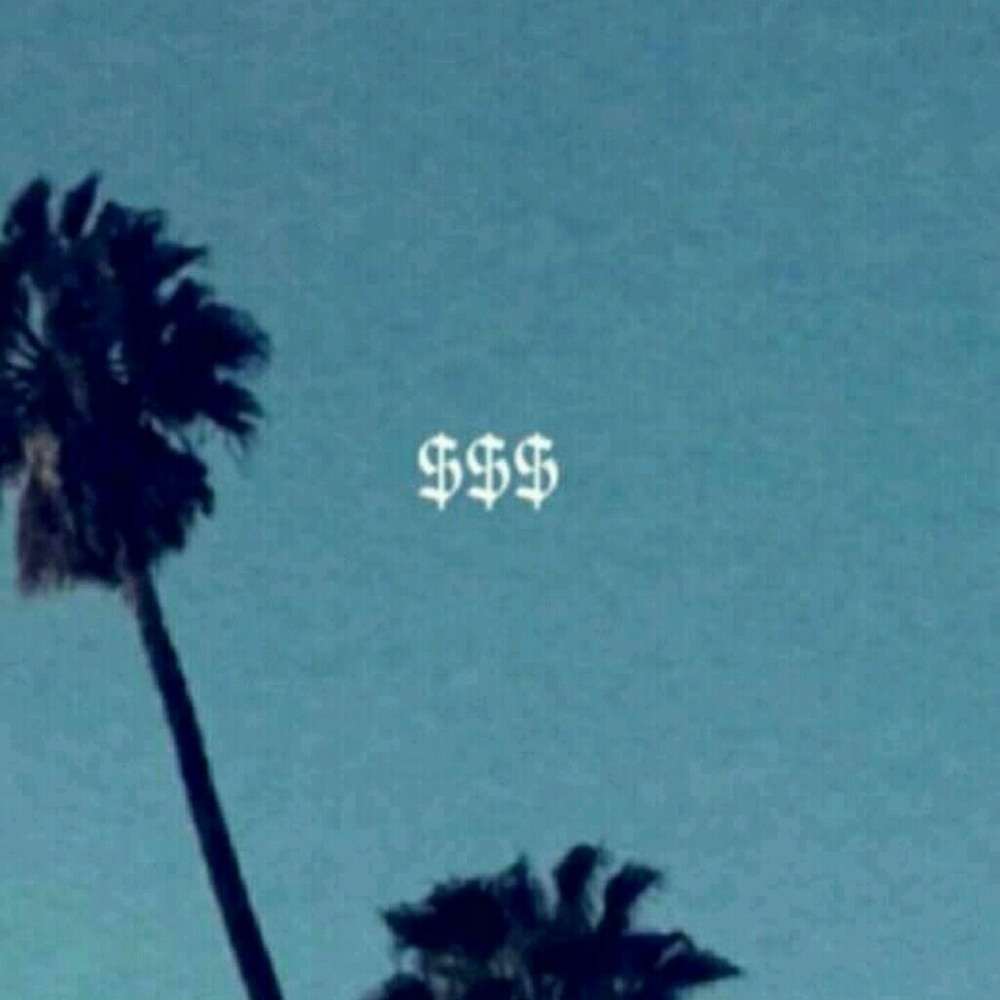 Meet your Posher, Troy